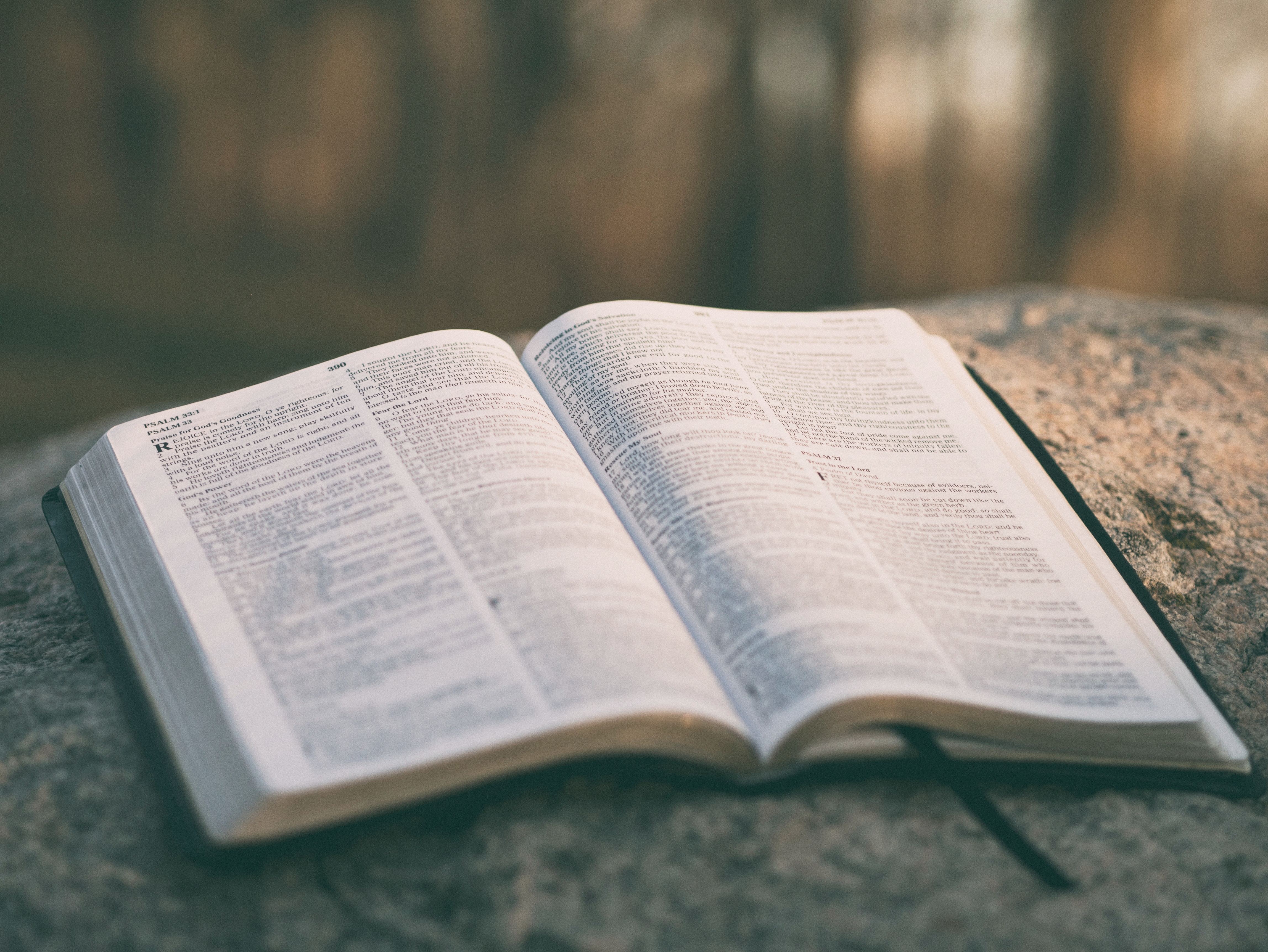 Devotion Displayed — Today Daily Devotional