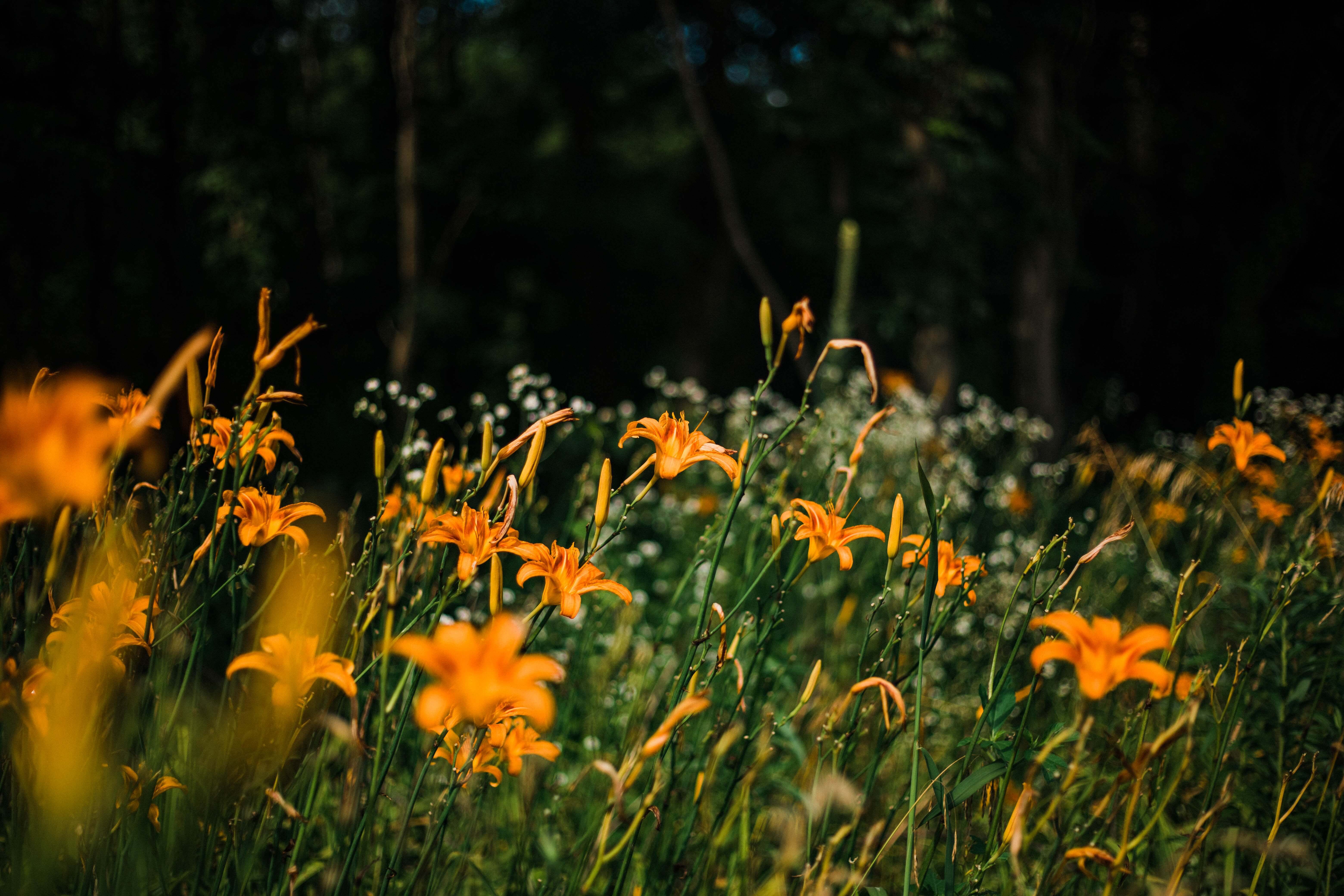 Community Is . . . Teamwork — Today Daily Devotional
