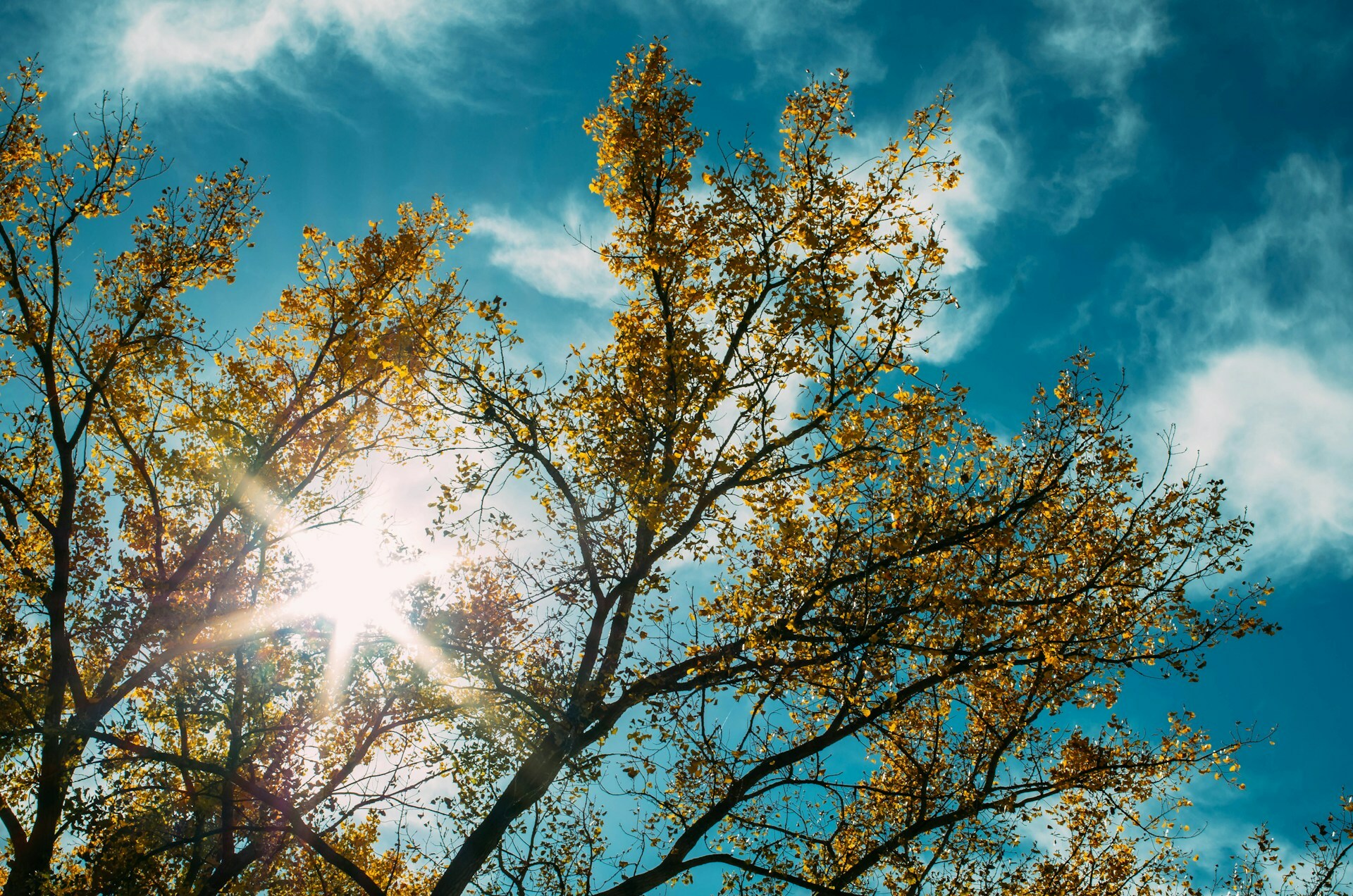 Jesus, the True Temple — Today Daily Devotional