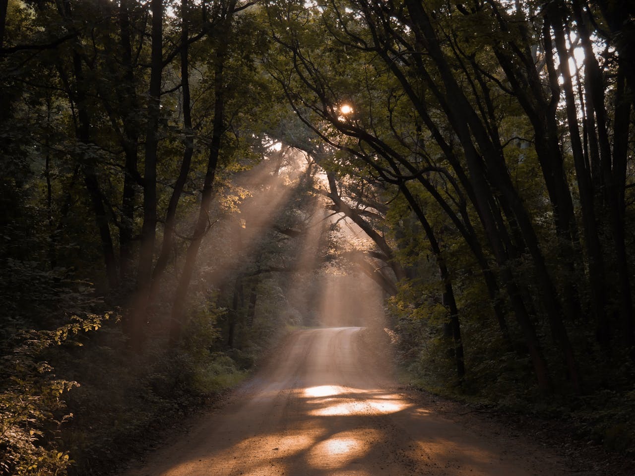 Didn’t You Know? — Today Daily Devotional