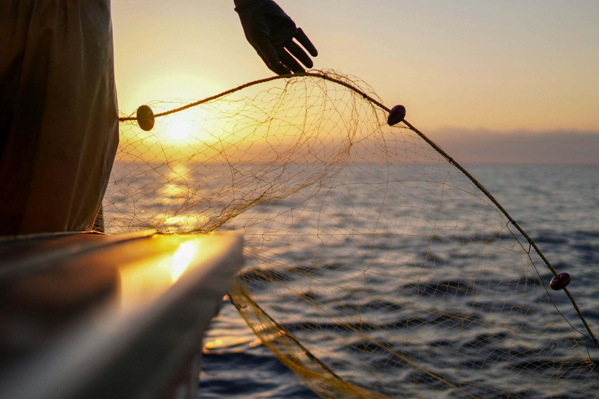 An Amazing Catch! — Today Daily Devotional
