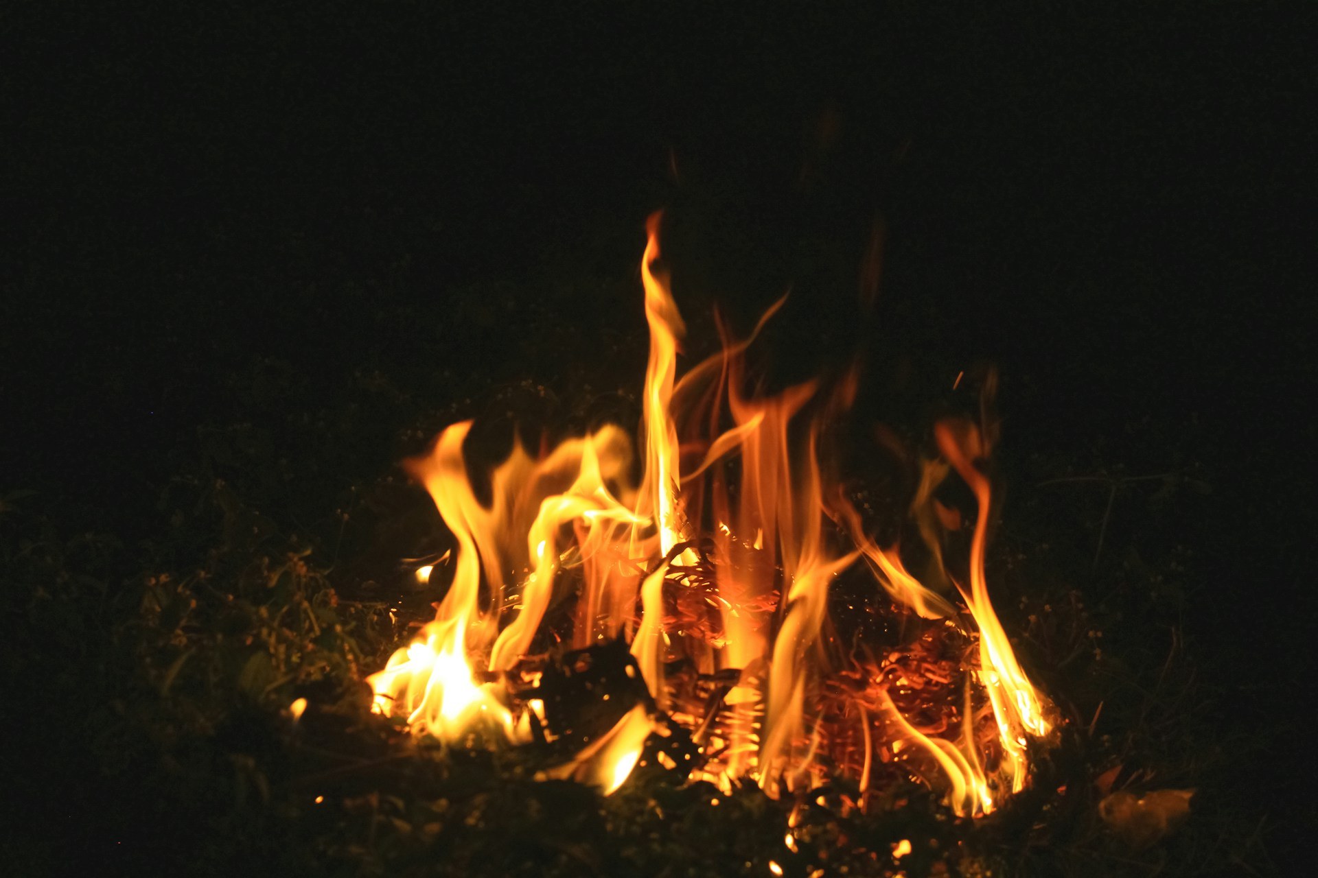 At the Burning Bush &mdash; Today Daily Devotional