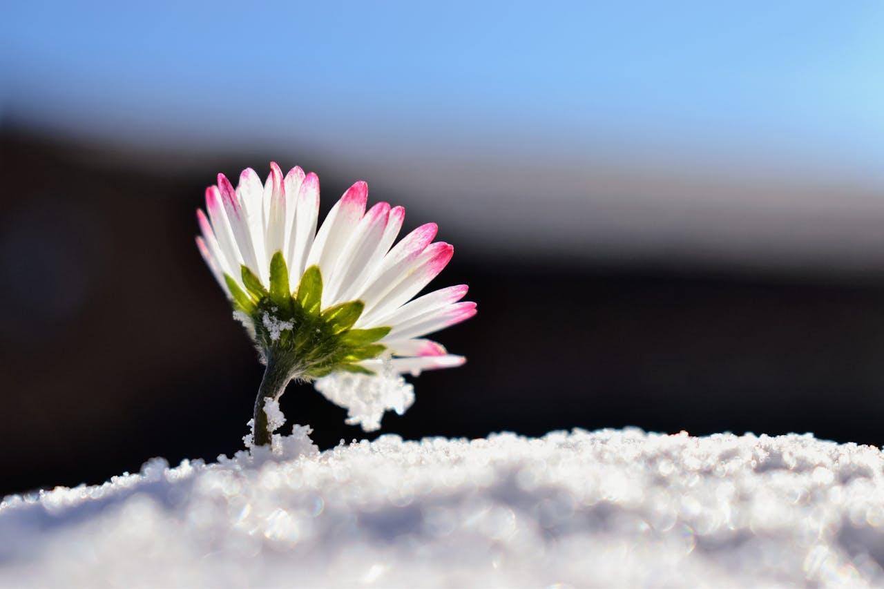 Wait . . . What!?! &mdash; Today Daily Devotional